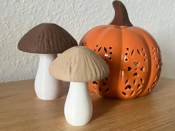 https://makerworld.bblmw.com/makerworld/model/US34b515116e67d5/design/2025-09-06_b488d3acc2d6b.jpg