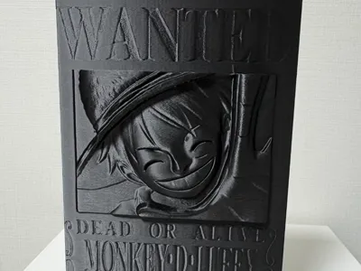One Piece Luffy Double-sided Bounty