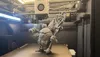 King Beegar - 0.2mm layer, 3 walls, 17% infill