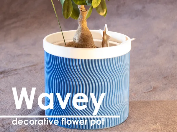 https://makerworld.bblmw.com/makerworld/model/US34c2a9b08c2685/design/2024-11-30_6de914f6f44248.jpg