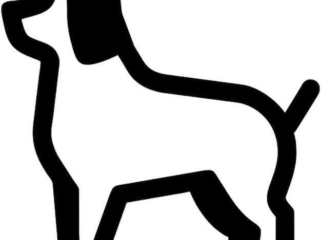 hund 