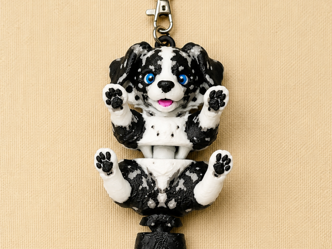 Merle Border Collie / Australian Shepherd puppy
