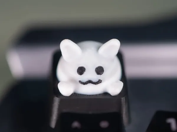 https://makerworld.bblmw.com/makerworld/model/US34c687400330de/design/2024-04-16_533b545d091f4.jpg