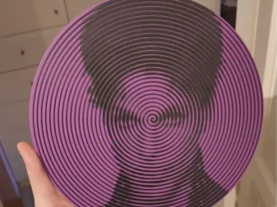 Prince Vinyl Record