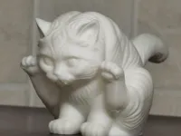 蹭腚猫