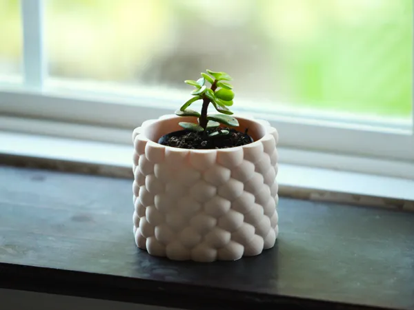 https://makerworld.bblmw.com/makerworld/model/US34d4d1dba236e1/design/2024-07-14_6b0b424b26f2f.jpg