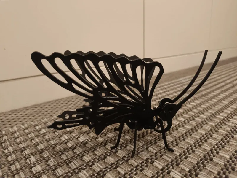 Butterfly 3D