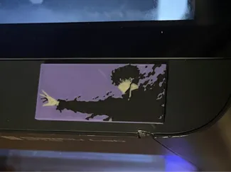 Solo Leveling Dust Cover for P1S