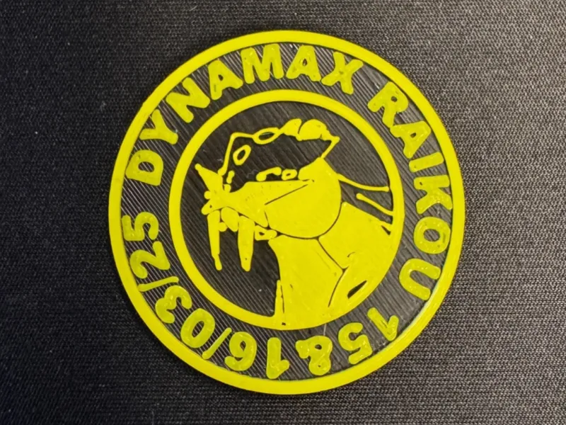 Dynamax Raikou weekend coin