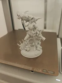 0.16mm layer, 2 walls, 8% infill