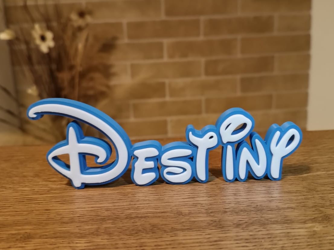 Destiny Name Disney Tag