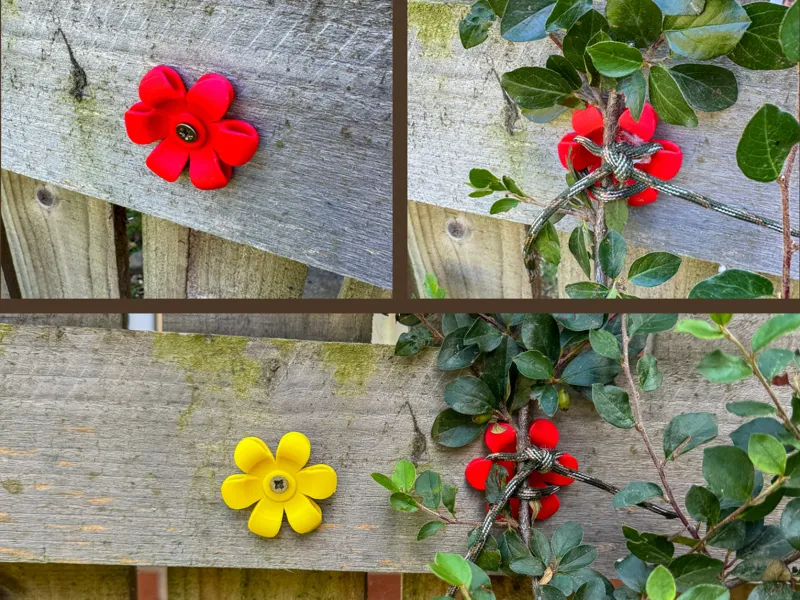 Flower Wall Tie for Climbing Plants