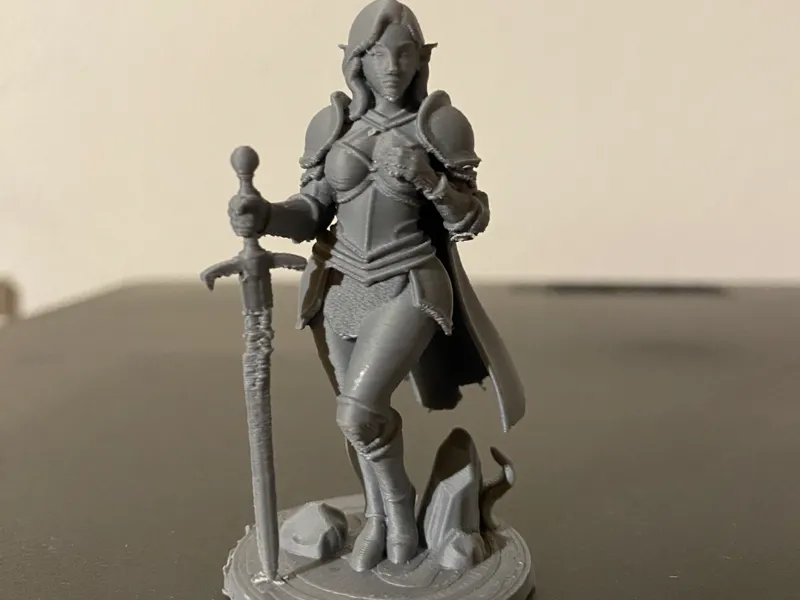 D&D Elowen Sternenklinge Paladin/Kriegerin