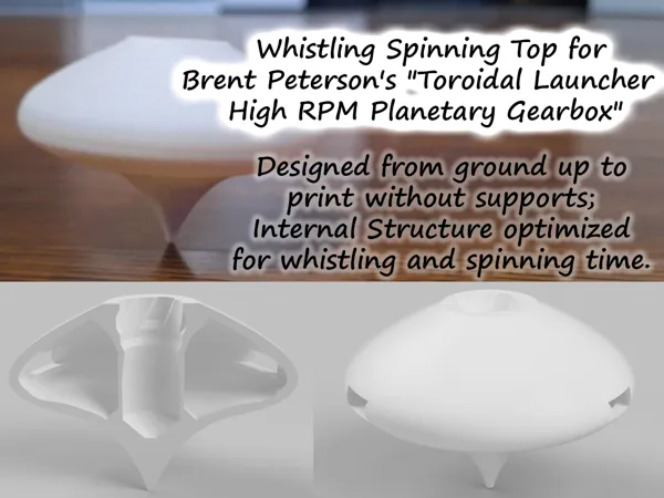https://makerworld.bblmw.com/makerworld/model/US34e5e8205f9425/design/2024-12-19_6ee25804e184c8.jpg