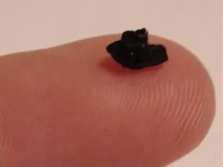 Worlds Smallest Benchy