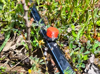 Adjustable Irrigation Drippers Sprinklers