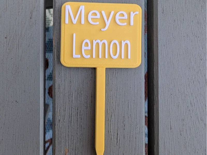 Citrus Plant Label–Meyer Lemon Tree Garden Marker