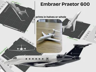 Embraer Praetor 600 - Private Jet (1:120 scale)