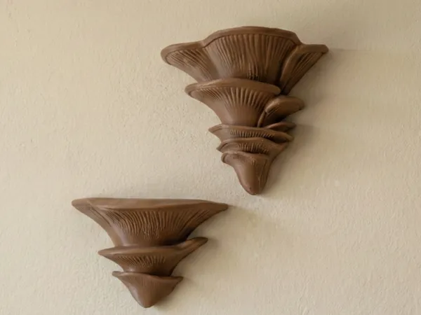 https://makerworld.bblmw.com/makerworld/model/US34f6be6e77ba8a/design/233e0893e2f67051.png