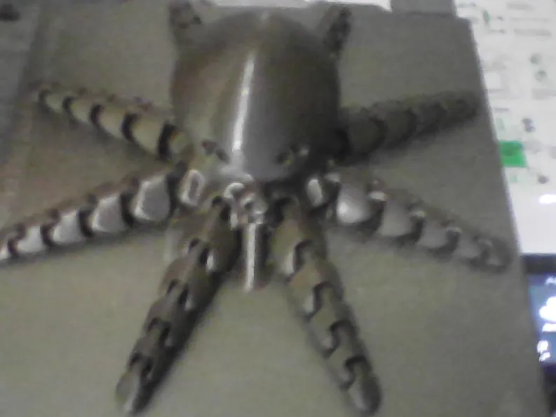 cute huge octopus