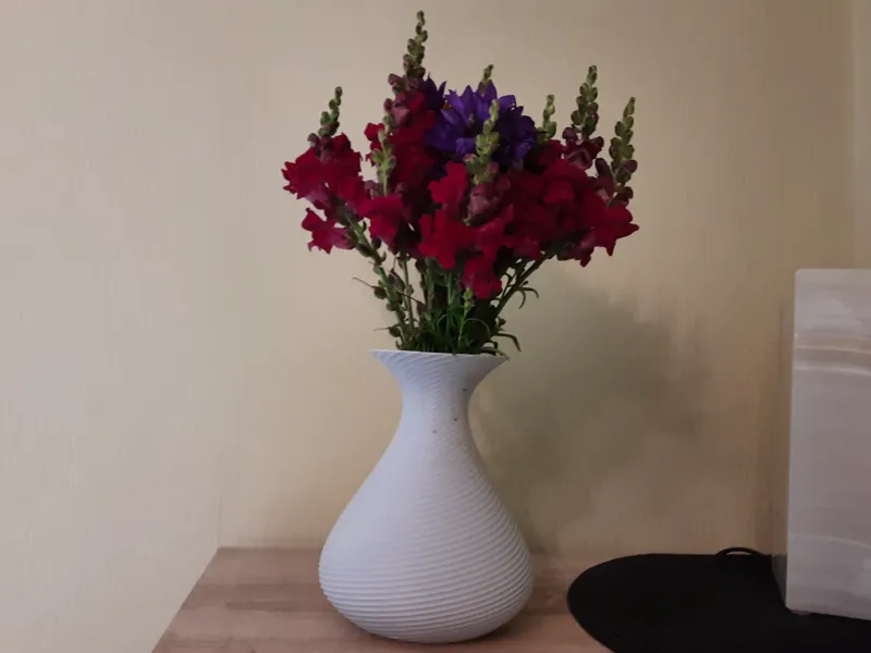 Moderne Spiral Vase