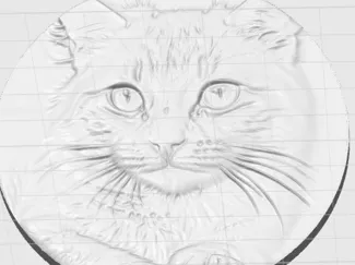 cat photo 3d