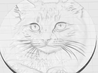 cat photo 3d