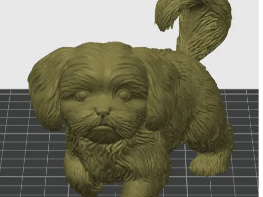 Bishon Shitzu Mix Dog