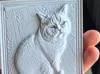 0.08mm layer, 2 walls, 15% infill