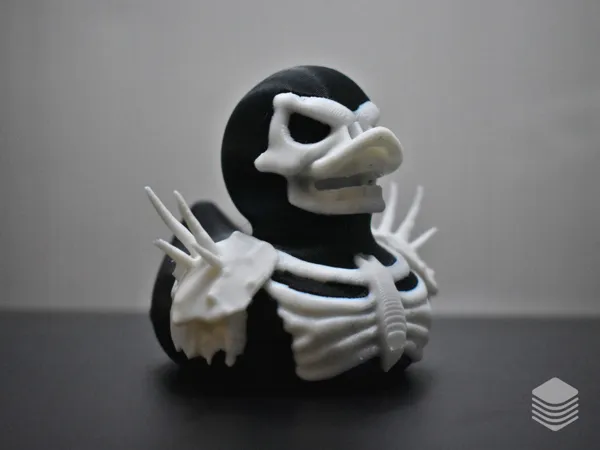 https://makerworld.bblmw.com/makerworld/model/US350053194b4681/design/2025-01-17_9a7cbfef6e32e.png