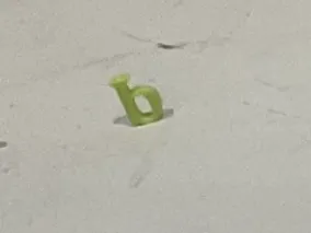 The letter b