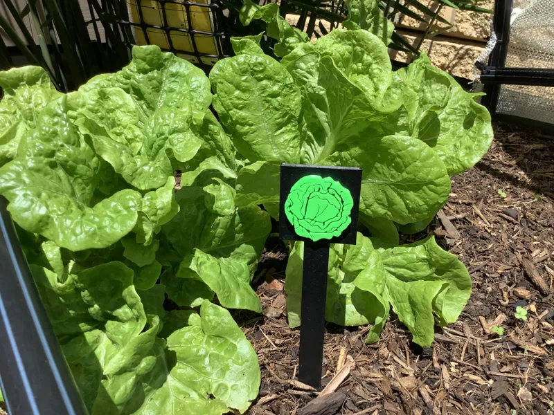 Lettuce Garden Sign