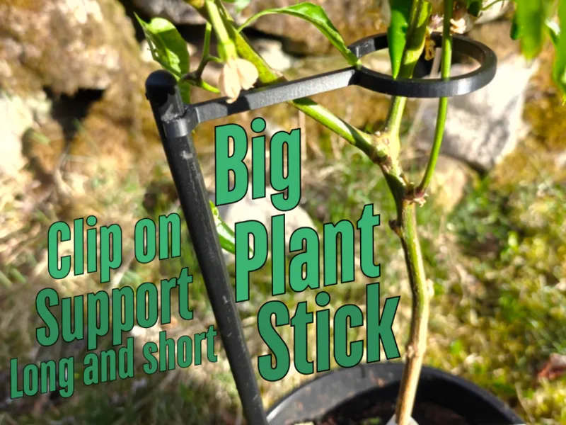 Big Plant Stick with Click-On Plant Holder