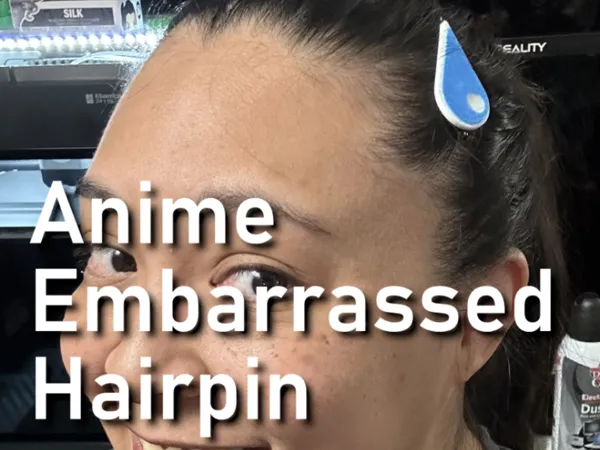 https://makerworld.bblmw.com/makerworld/model/US350c6049e4e251/design/2025-05-31_d39b3f73023348.png