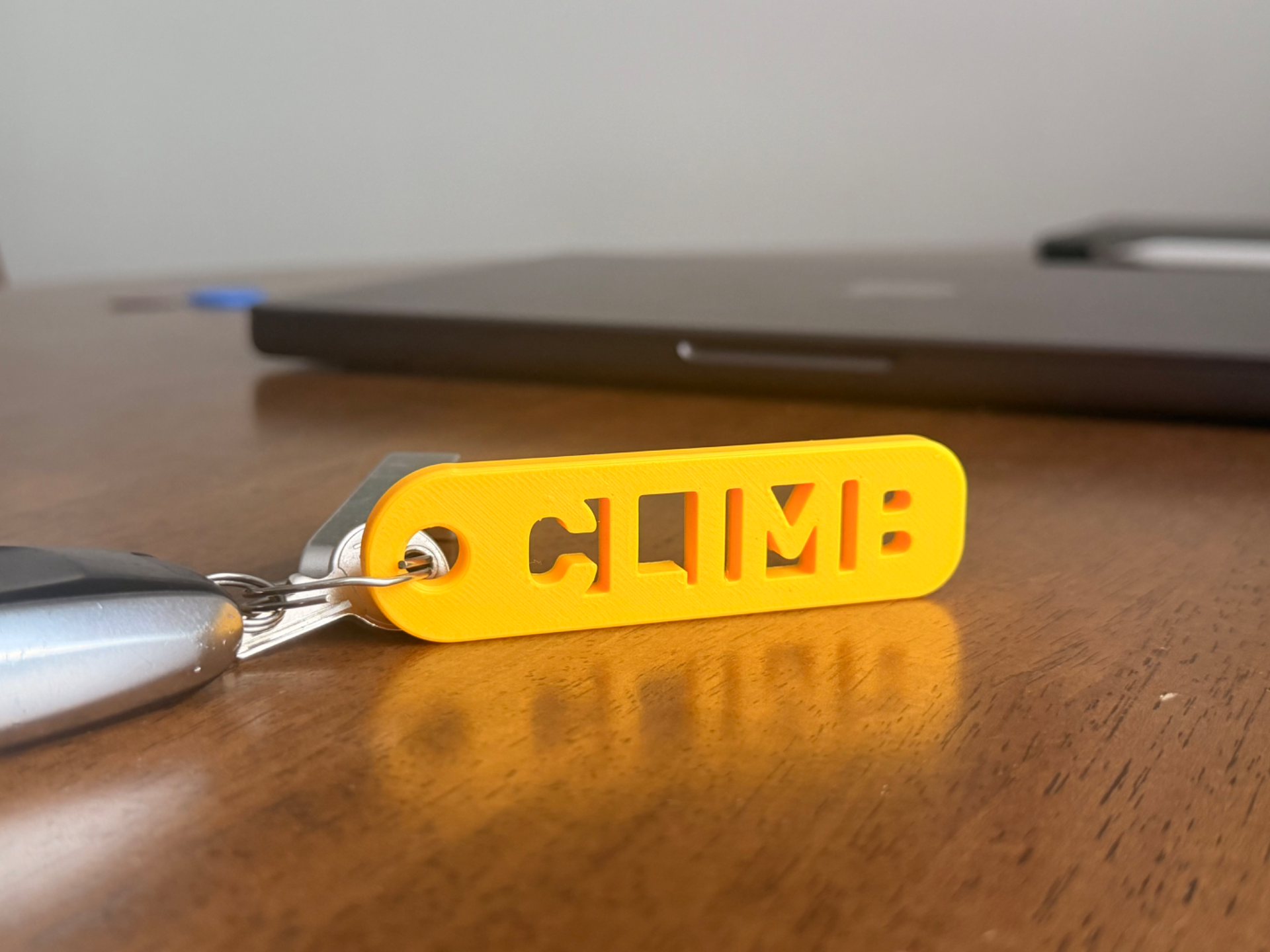 Climbing Key Ring 3D model
