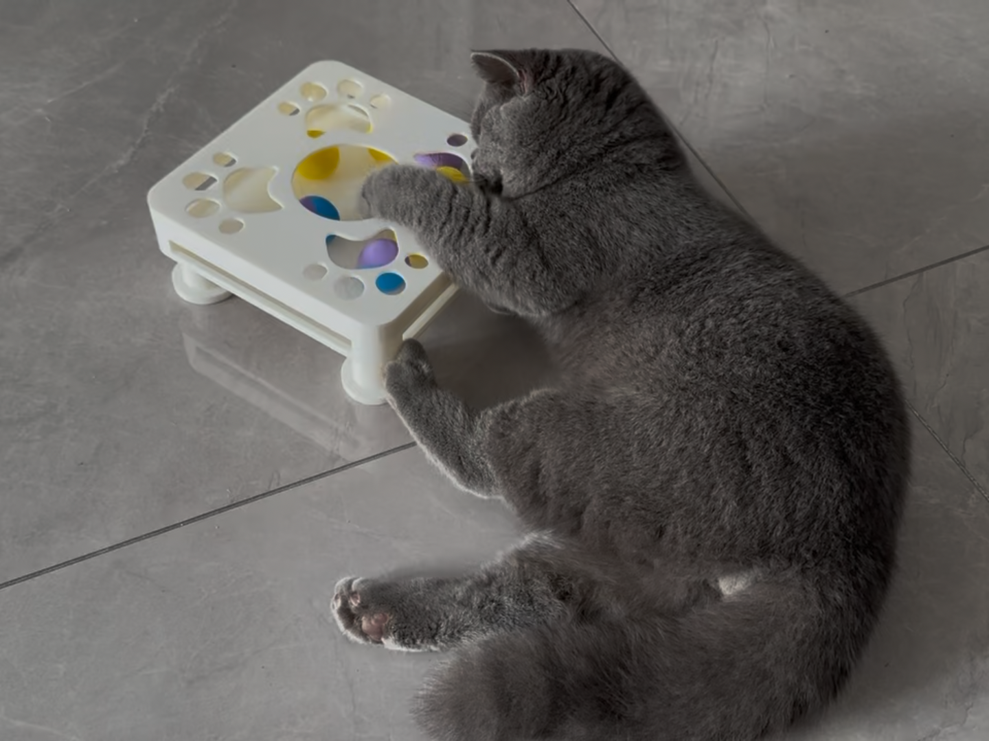 猫咪玩具
