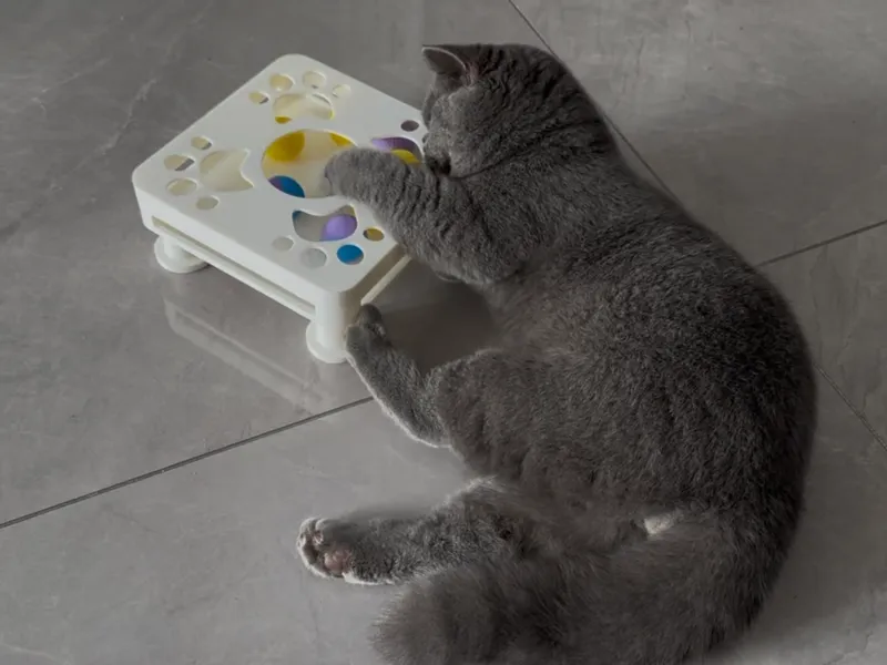猫咪玩具