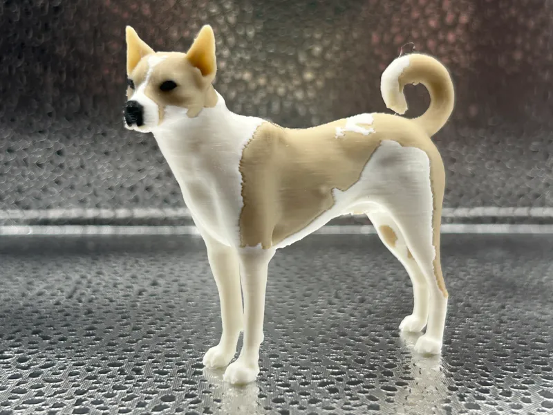 Aloka - Walk for Peace Dog
