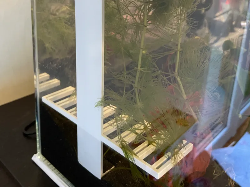 Water Plant support for aquarium