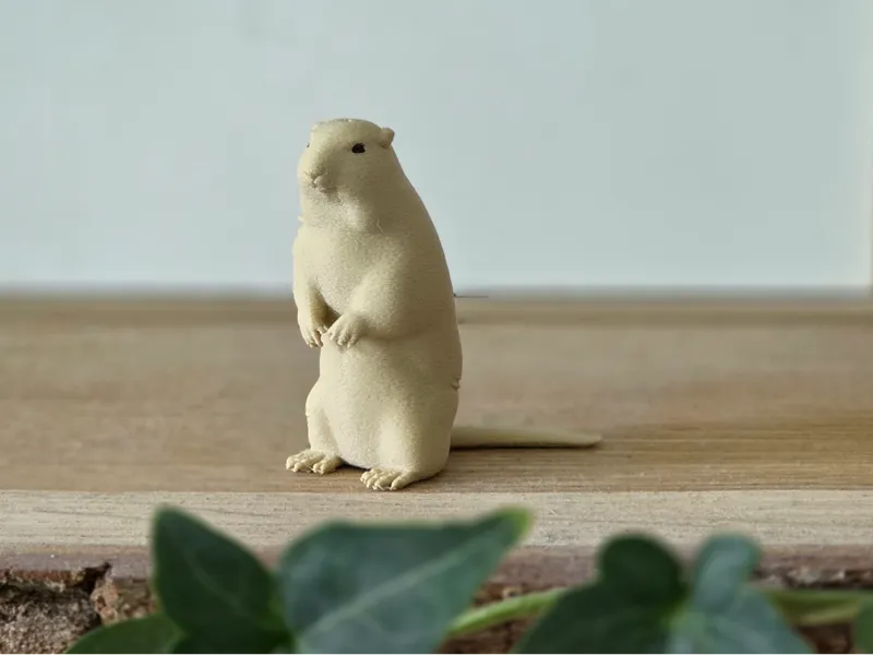 Murmeltier (Marmot)