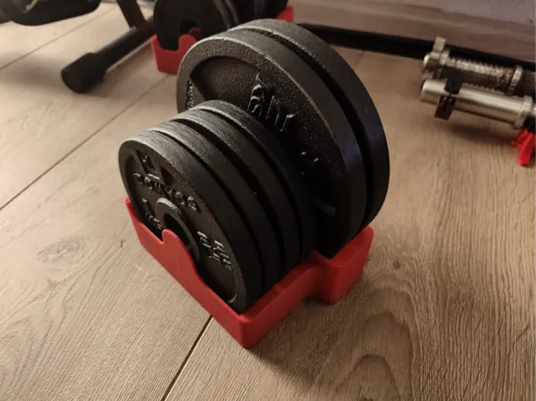 https://makerworld.bblmw.com/makerworld/model/US351aa1f01d7ba6/design/2025-01-14_5a665ca2b065b.jpeg