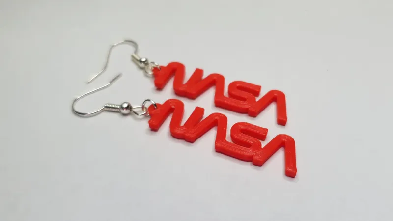 NASA Earrings - Worm Logo