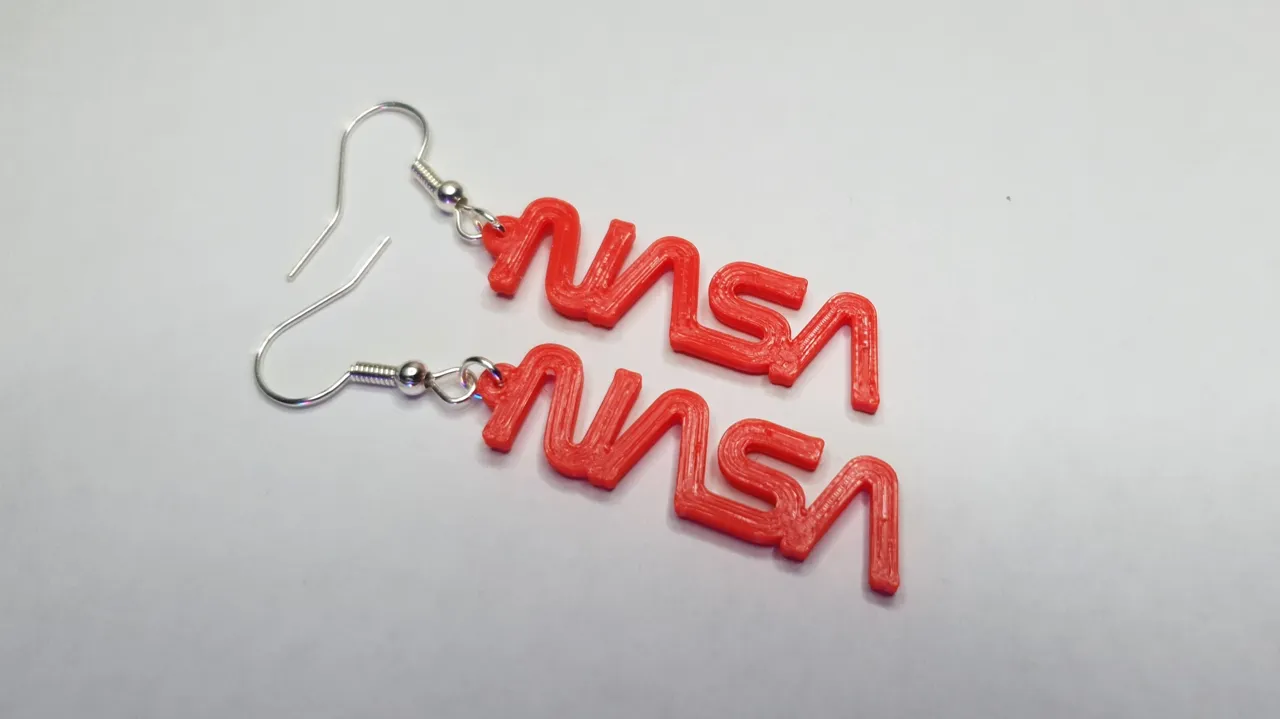 NASA Earrings - Worm Logo view 2