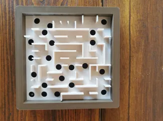 THE MAZE
