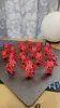 0.2mm layer, 2 walls, 15% infill micro 3 colors