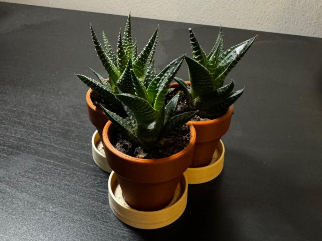 Tripple Plant Pot (Micro)