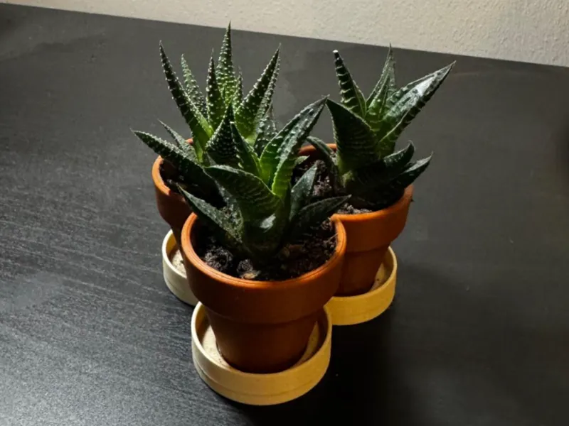 Tripple Plant Pot (Micro)