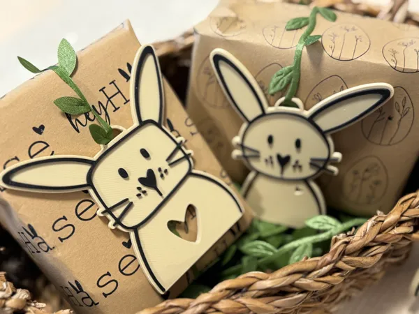 https://makerworld.bblmw.com/makerworld/model/US3525939b067a17/design/2025-02-26_2a395cb7ae3ca.jpg