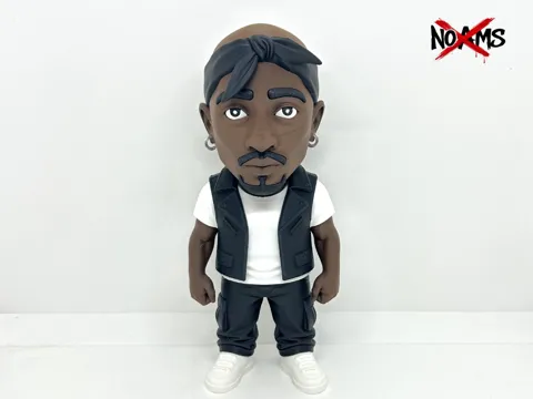 Accesorio para impresora 3D: Tupac Shakur - No AMS — referencia de MakerWorld
