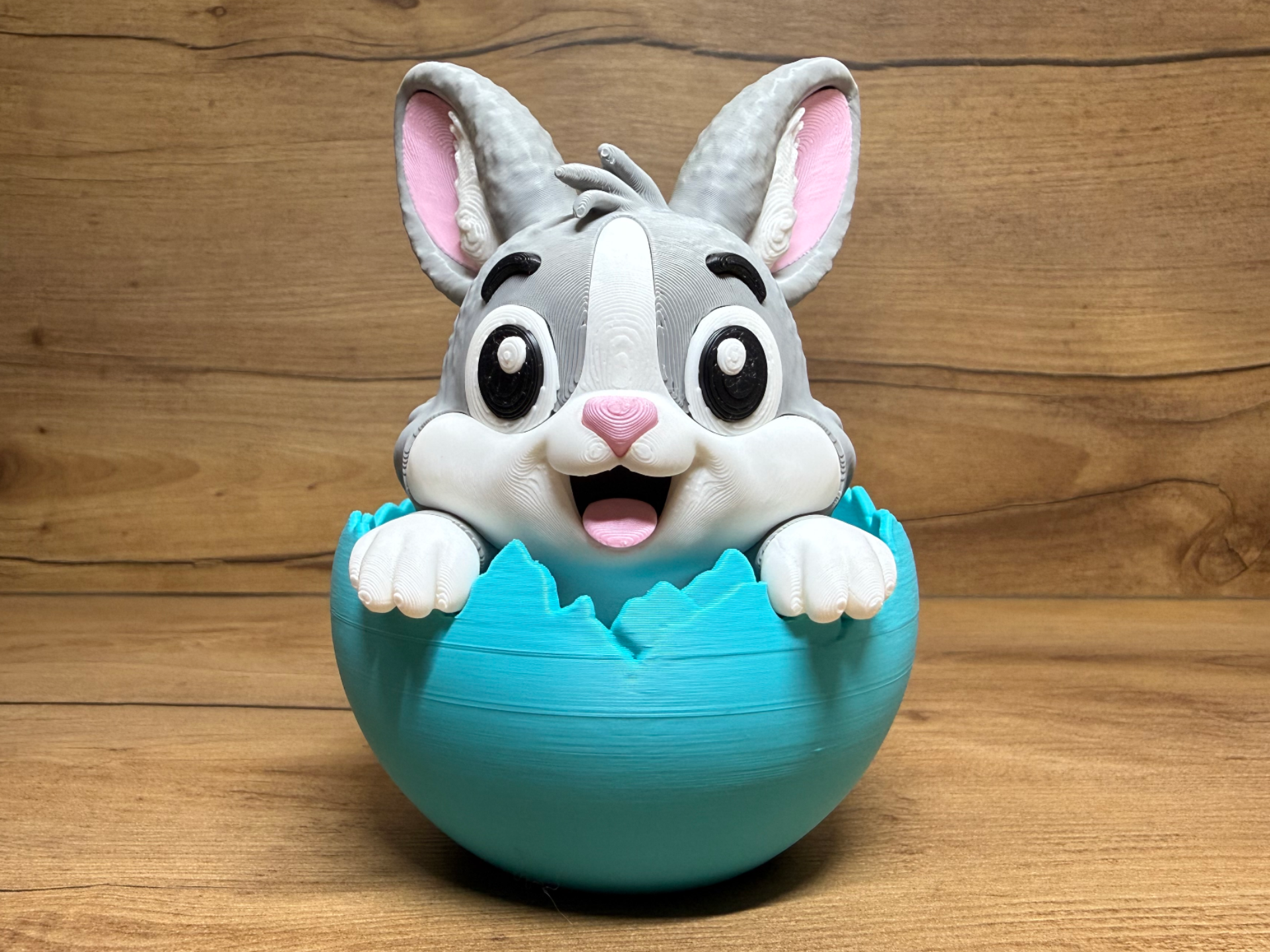 Lapin Coquille multipart no AMS